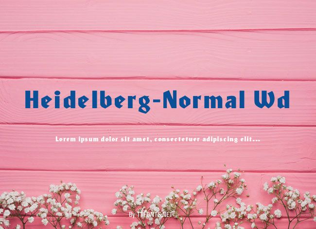 Heidelberg-Normal Wd example